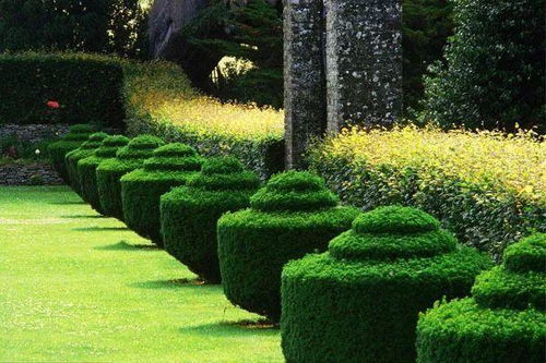 成都最大规模苗木批发供应基地与人工智能应用软件开发的融合创新